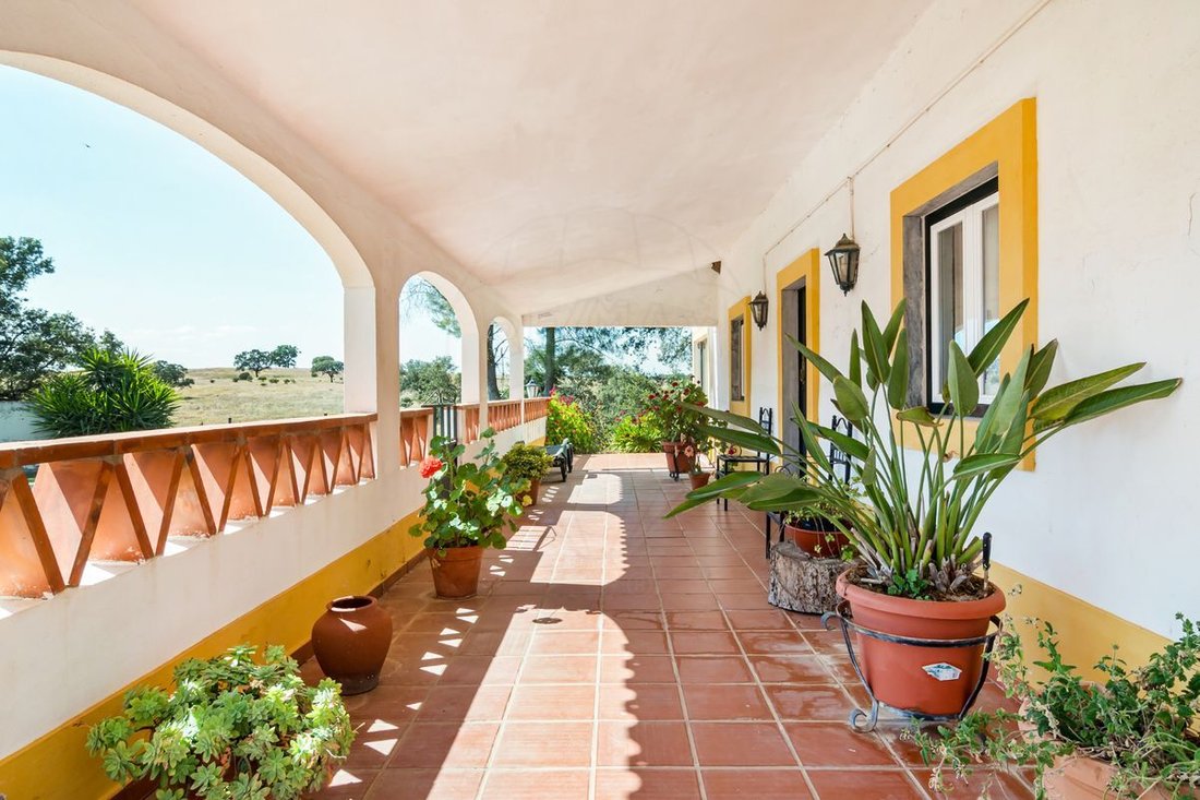 House in Malagueira e Horta das Figueiras, Évora District, Portugal 3 - 14608763