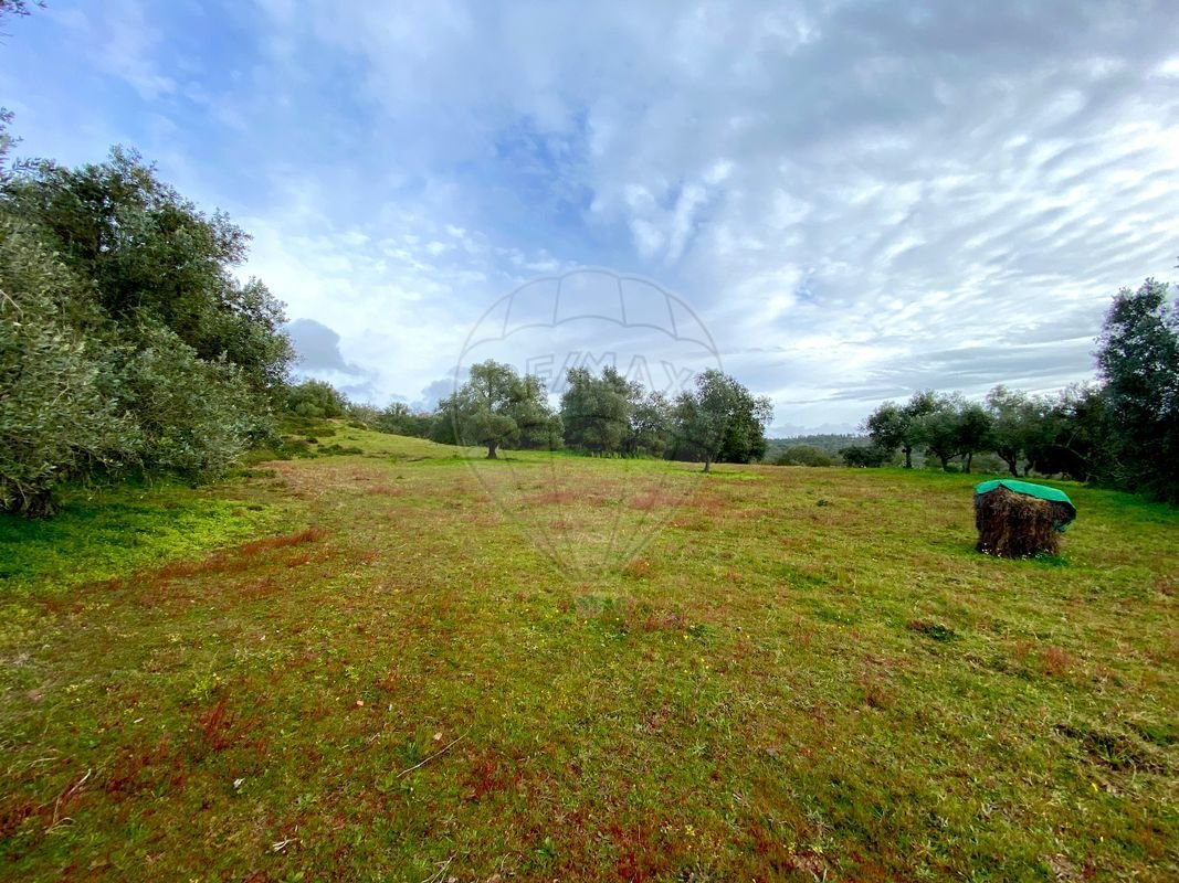 Land in Melides, Setubal, Portugal 3 - 14608591