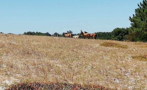 Land in Sines, Setubal, Portugal 1