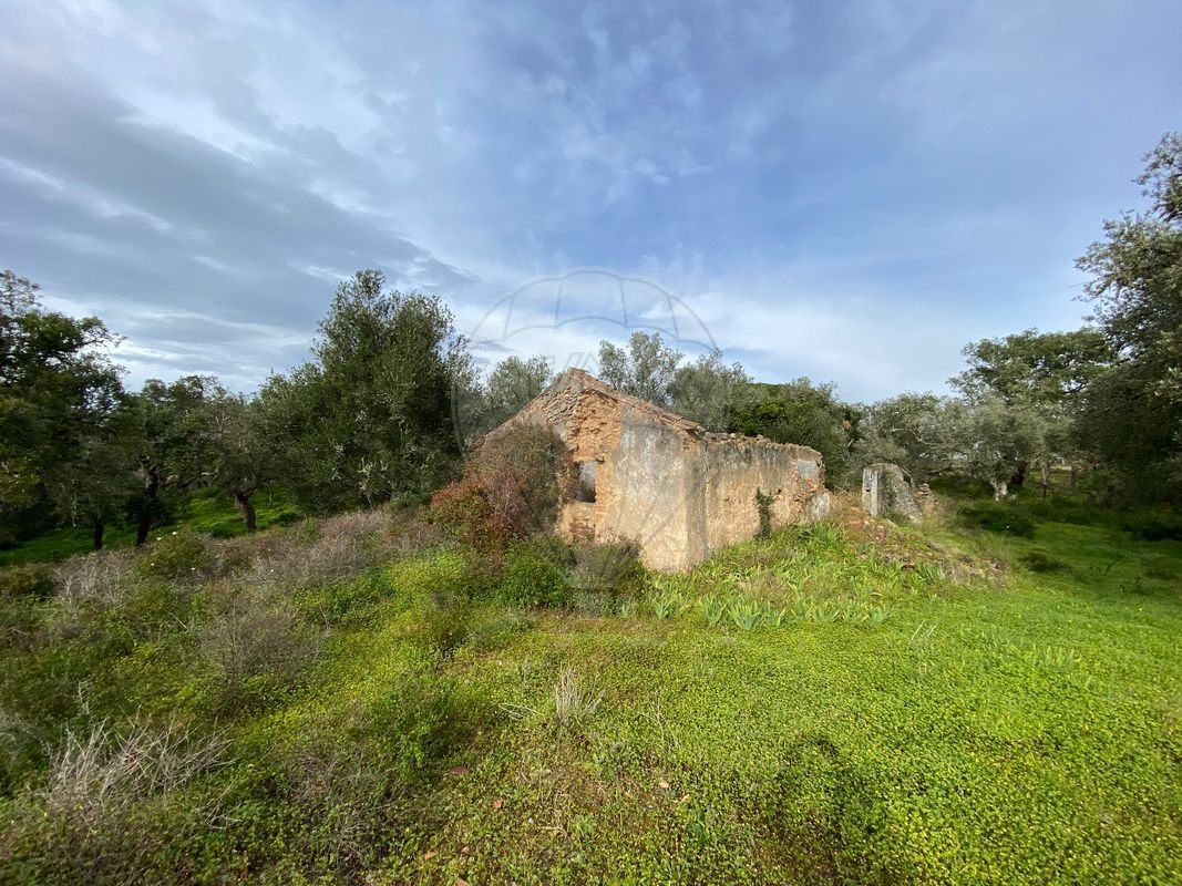 Land in Melides, Setúbal Municipality, Portugal 1 - 14608591