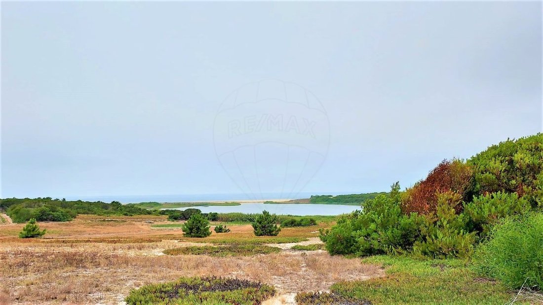 Land in Sines, Setubal, Portugal 5 - 14608352