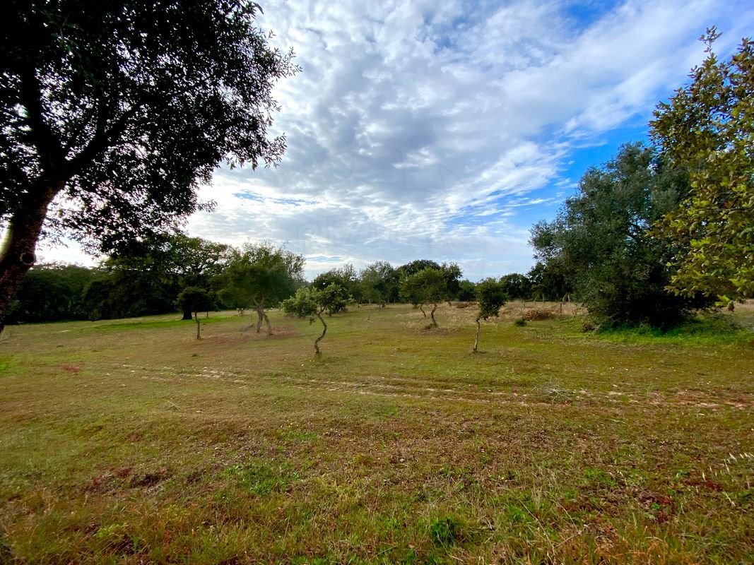 Land in Melides, Setubal, Portugal 2 - 14608591