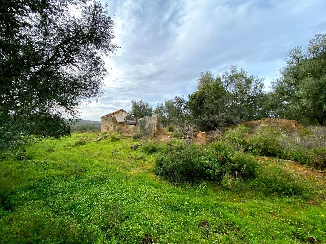 Land in Melides, Setúbal Municipality, Portugal 2 - 14608591