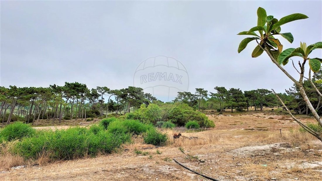 Land in Sines, Setubal, Portugal 3 - 14608352