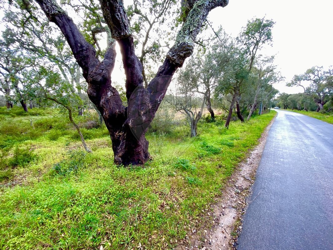 Land in Melides, Setubal, Portugal 5 - 14608591