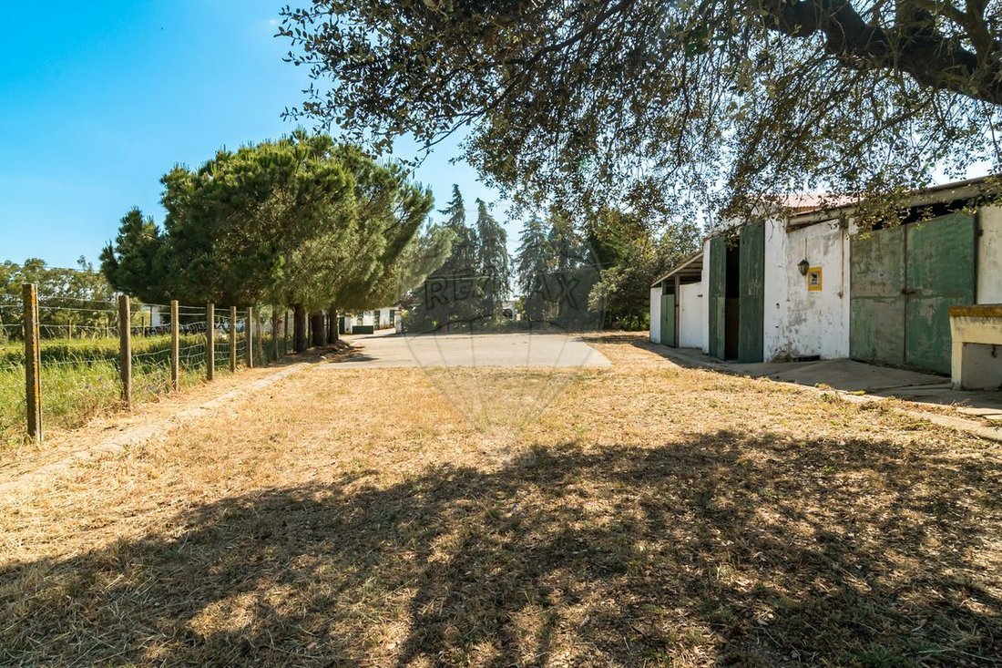 Maison à Malagueira e Horta das Figueiras, District d'Évora, Portugal 4 - 14608763