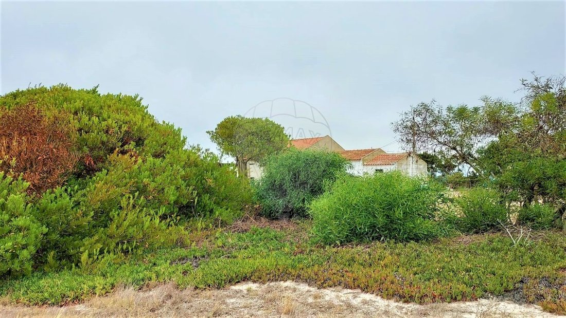 Land in Sines, Setubal, Portugal 4 - 14608352