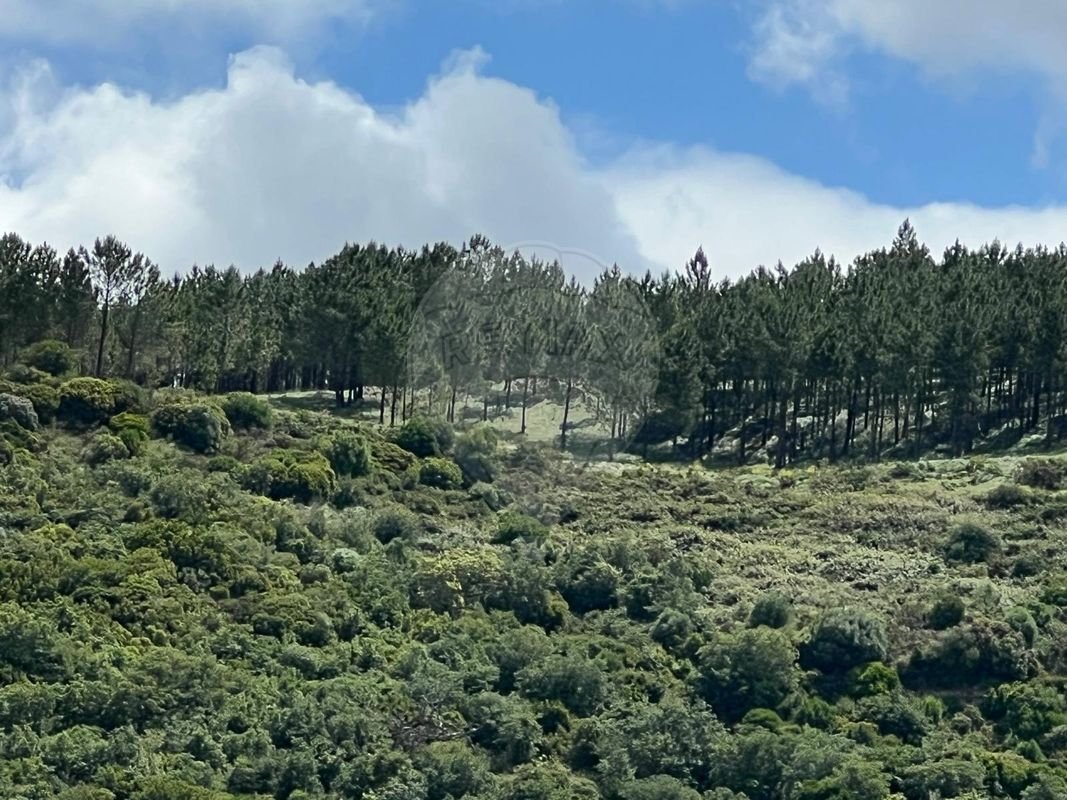 Land in Arruda dos Vinhos, Lisbon, Portugal 5 - 13893920