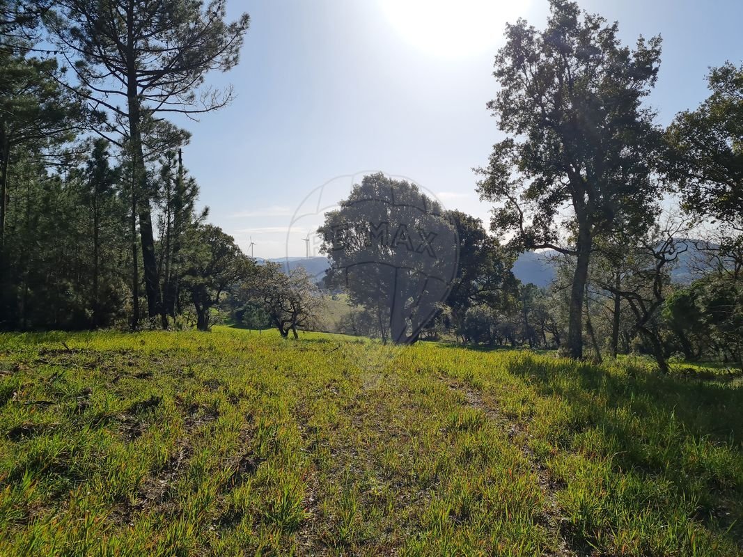 Land in Lousa, Lisbon, Portugal 4 - 14608348