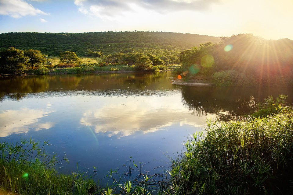 Farm Ranch in Port Alfred, Eastern Cape, South Africa 4 - 14595943