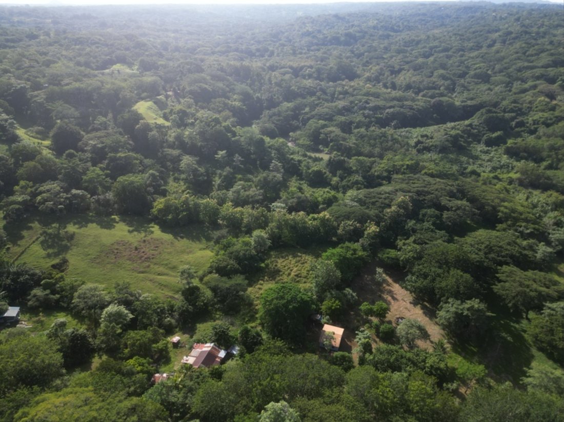 Land in Manzanillo, Puntarenas Province, Costa Rica 3 - 14609569