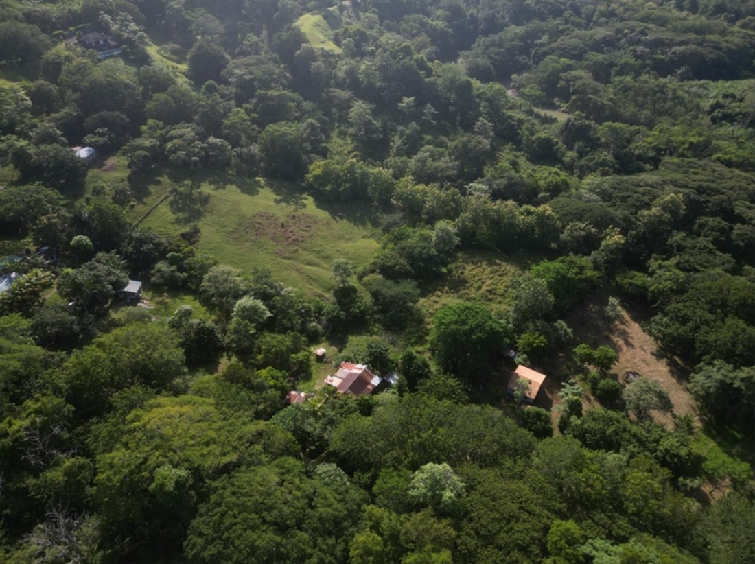 Land in Manzanillo, Puntarenas Province, Costa Rica 4 - 14609569