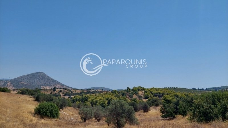 Land in Koinotita Kranidiou, Kranidi, Greece 2 - 14609683