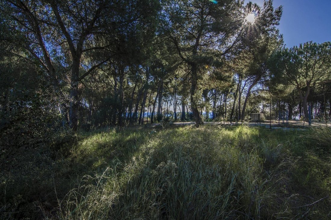 Land And Building Project In In Sant Andreu De Llavaneres, Catalonia