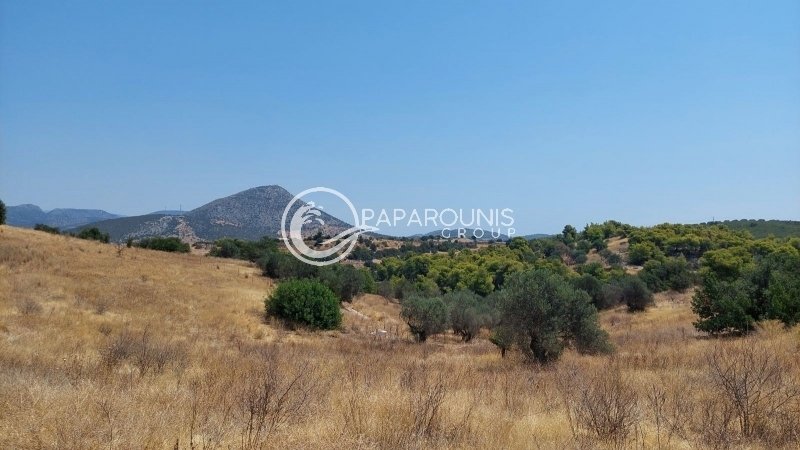 Land in Koinotita Kranidiou, Kranidi, Greece 3 - 14609683