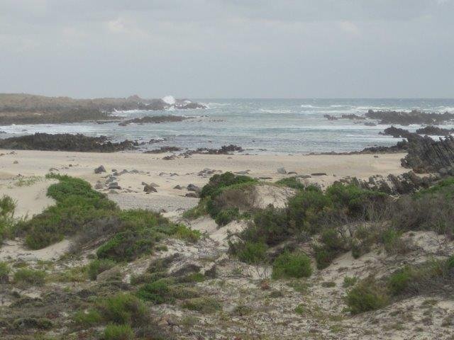 Farm Ranch in Rockdale, Eastern Cape, South Africa 2 - 14609986