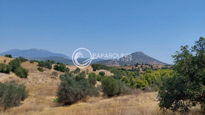 Land in Koinotita Kranidiou, Kranidi, Greece 4 - 14609683