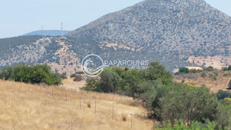 Land in Koinotita Kranidiou, Kranidi, Greece 1 - 14609683