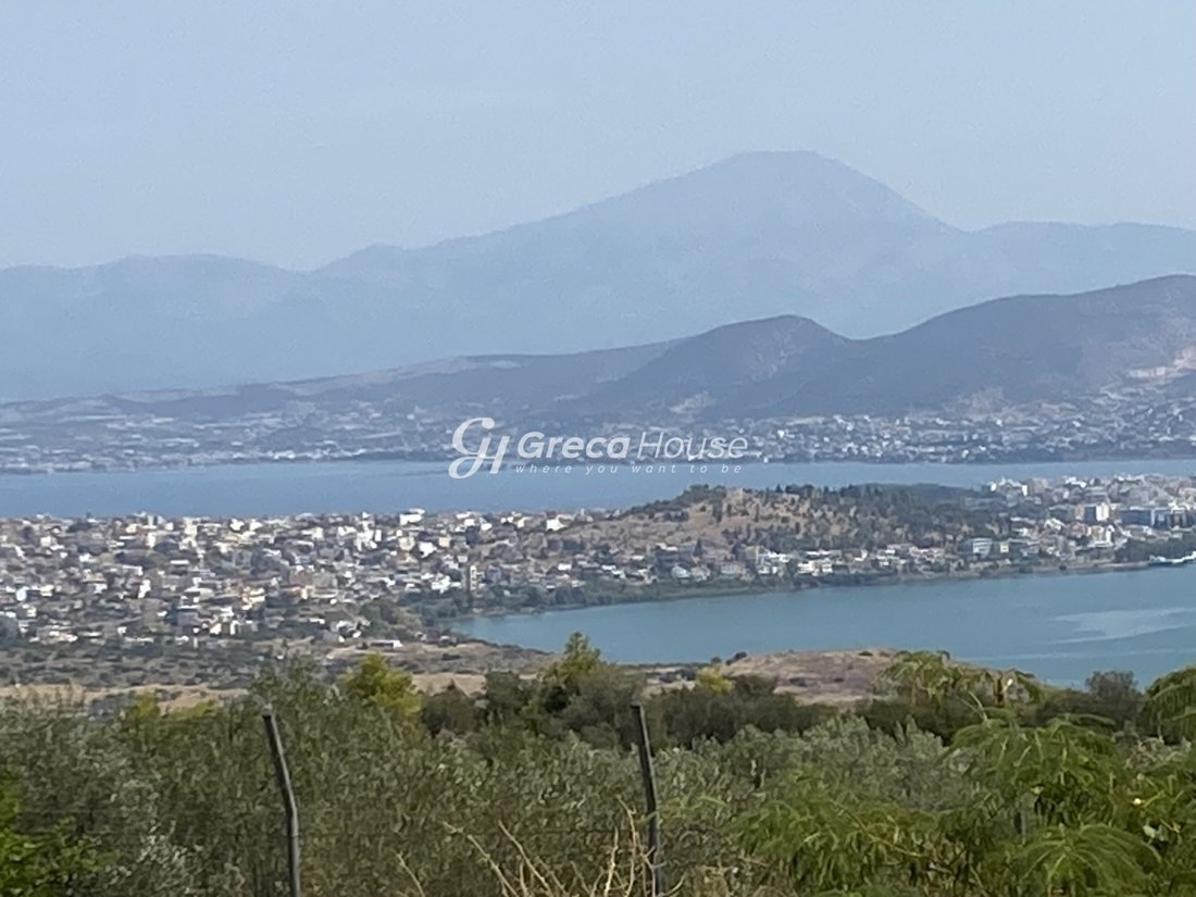 Drosia Municipal Commune, Anthidon, Greece 2 - 14613101