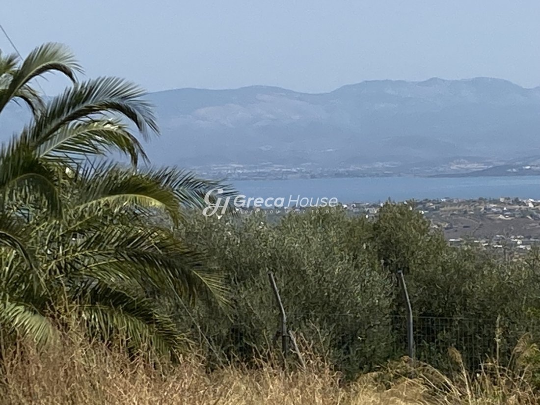 Drosia Municipal Commune, Anthidon, Greece 5 - 14613101