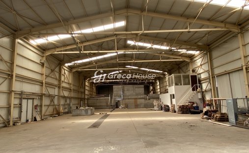 Drosia Municipal Commune, Anthidon, Grecia 1
