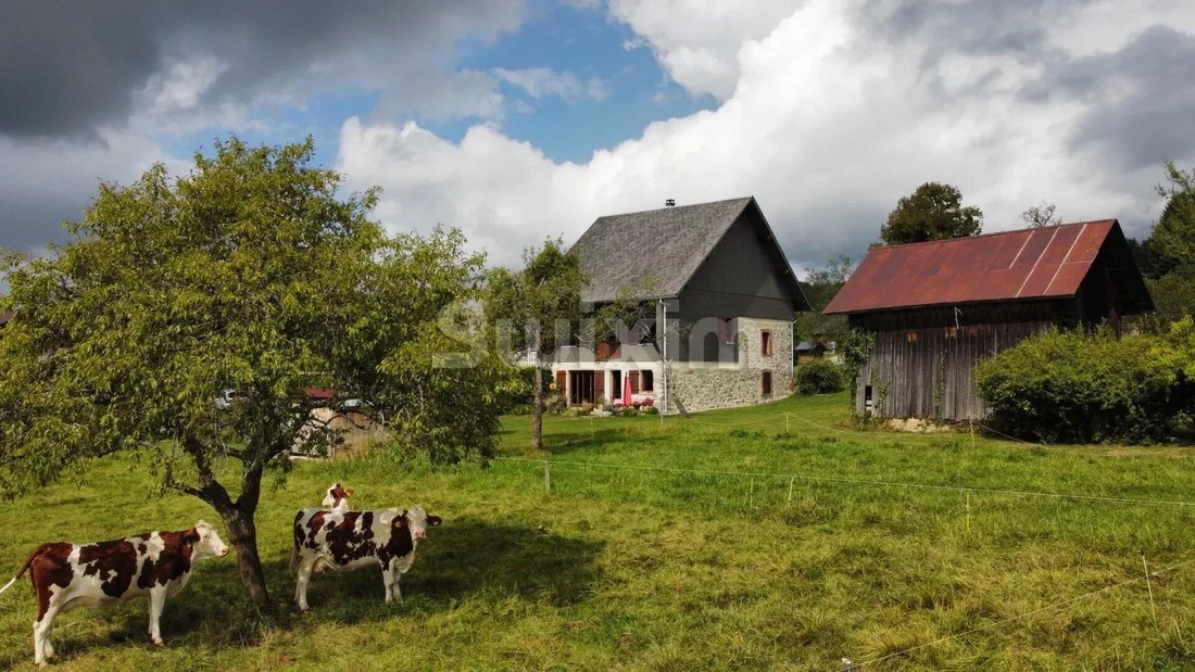 House in Groisy, Auvergne-Rhône-Alpes, France 1 - 14613608