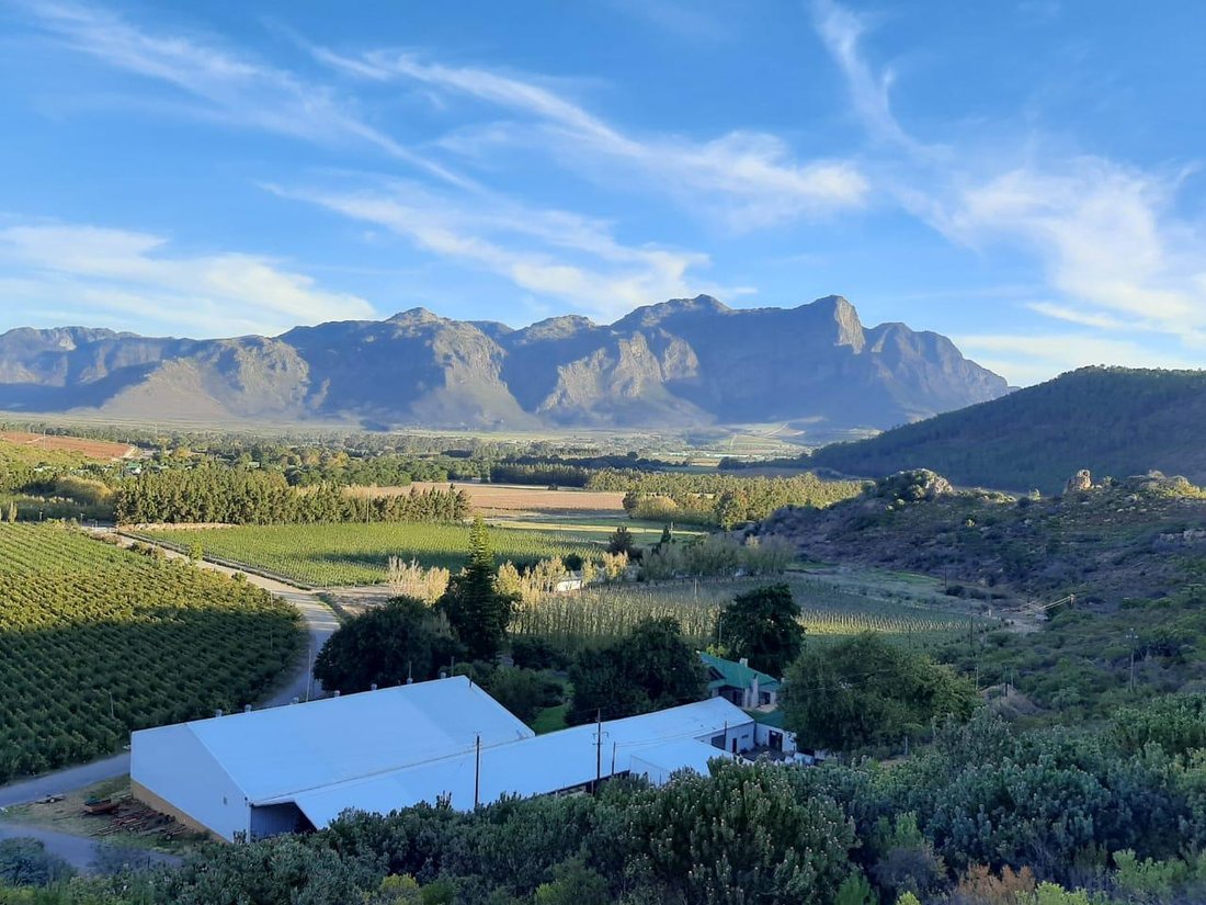 Farm Ranch in Franschhoek, Western Cape, South Africa 4 - 14616665