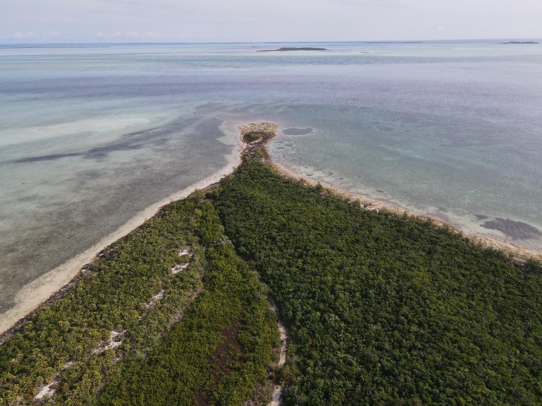 Terrain à Chub Cay, Bahamas 3 - 14619575