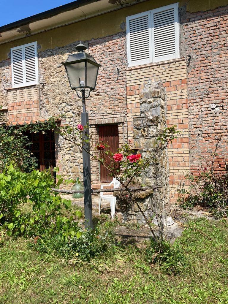 Riparbella, Tuscany, Italy 5 - 14618894