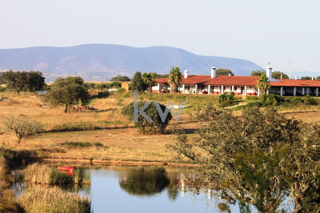 Farm Ranch in Vila Nova de Sao Bento e Vale de Vargo, Beja District, Portugal 3 - 14618937