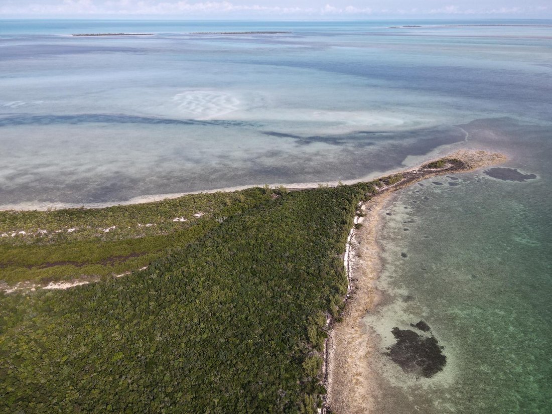 Terrain à Chub Cay, Bahamas 4 - 14619575