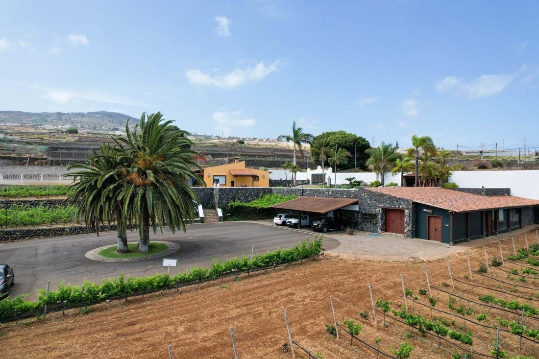 Villa in San Cristobal de La Laguna, Canary Islands, Spain 3 - 14615800