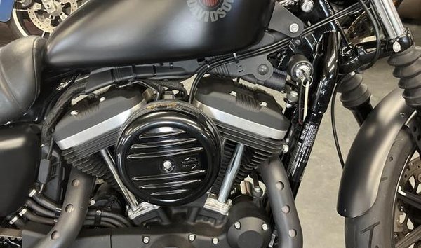 2019 Harley Davidson XL883N / IRON 883 (13114329)