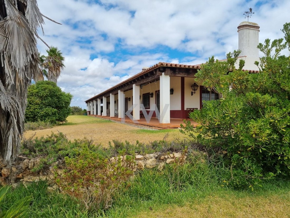 Farm Ranch in Vila Nova de Sao Bento e Vale de Vargo, Beja District, Portugal 4 - 14618937