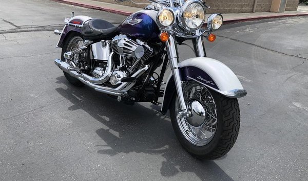 2010 Harley-Davidson FLSTN Softail Deluxe (13155242)