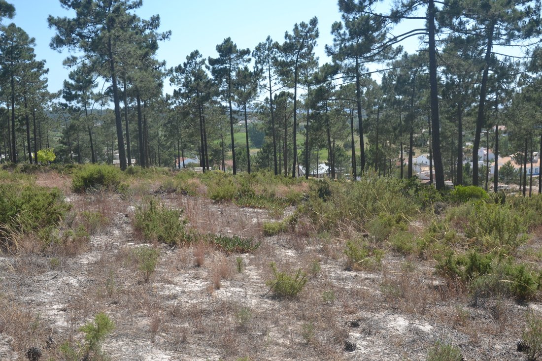Land in Carvalhal, Setubal, Portugal 5 - 14623928