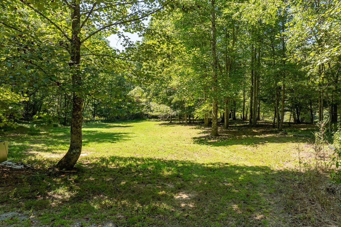 Two Acres On The Toccoa River! In Blue Ridge, United States