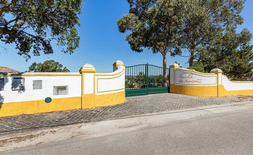 Farm Ranch in Azambuja, Lissabon, Portugal 1