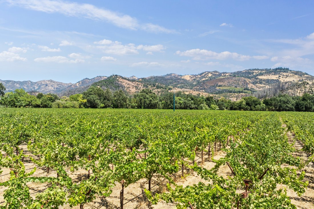 Calistoga, California, United States 5 - 14629288