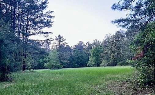Land in Watkinsville, Georgia, United States 1