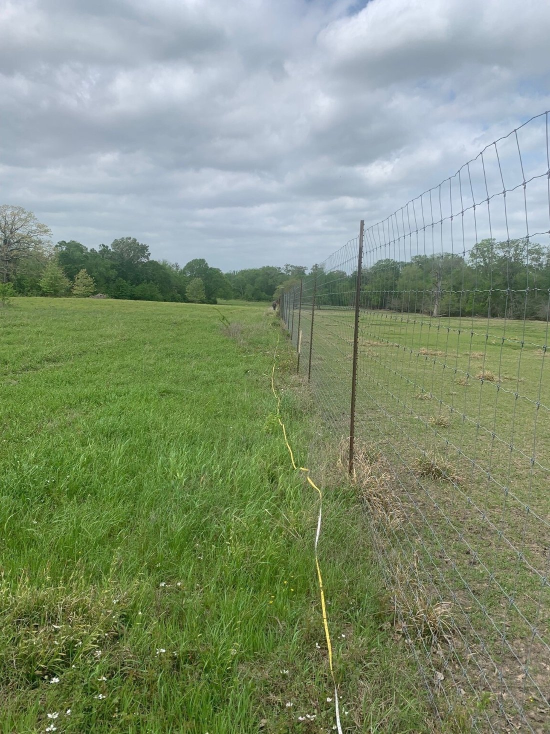 Land in Montgomery, Texas, United States 4 - 14629833