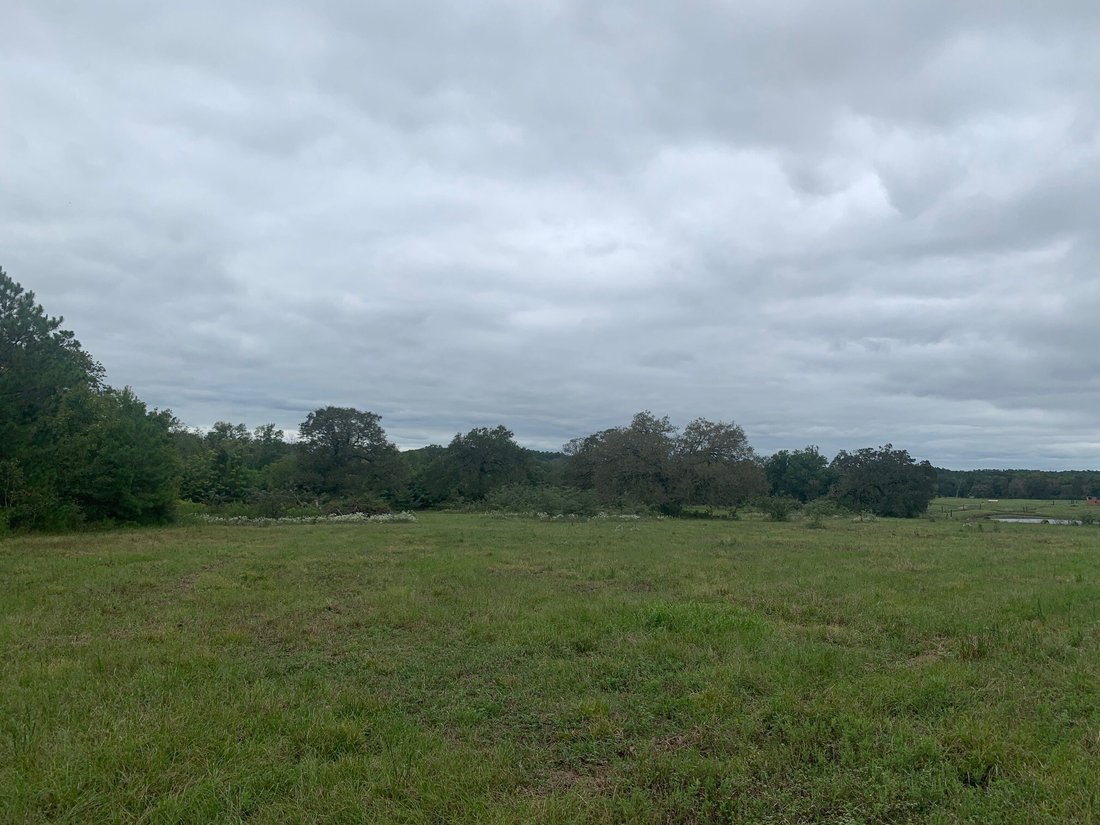 Land in Montgomery, Texas, United States 5 - 14629833