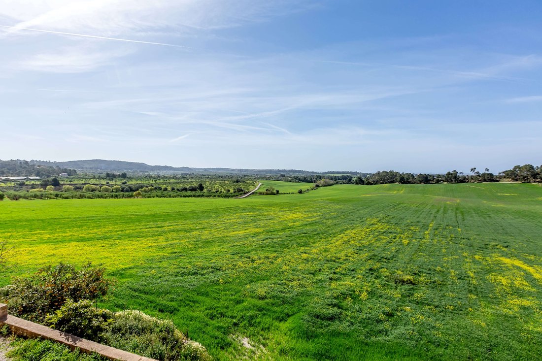 Finca à Îles Baléares, Espagne 4 - 14638517