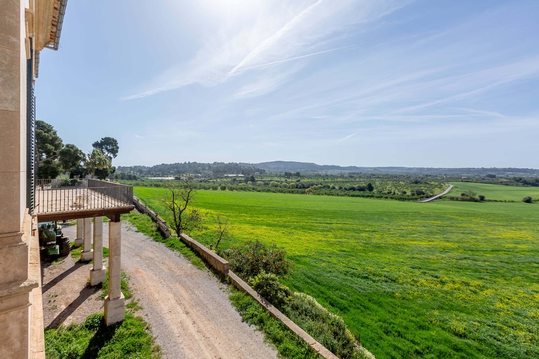 Finca à Îles Baléares, Espagne 5 - 14638517