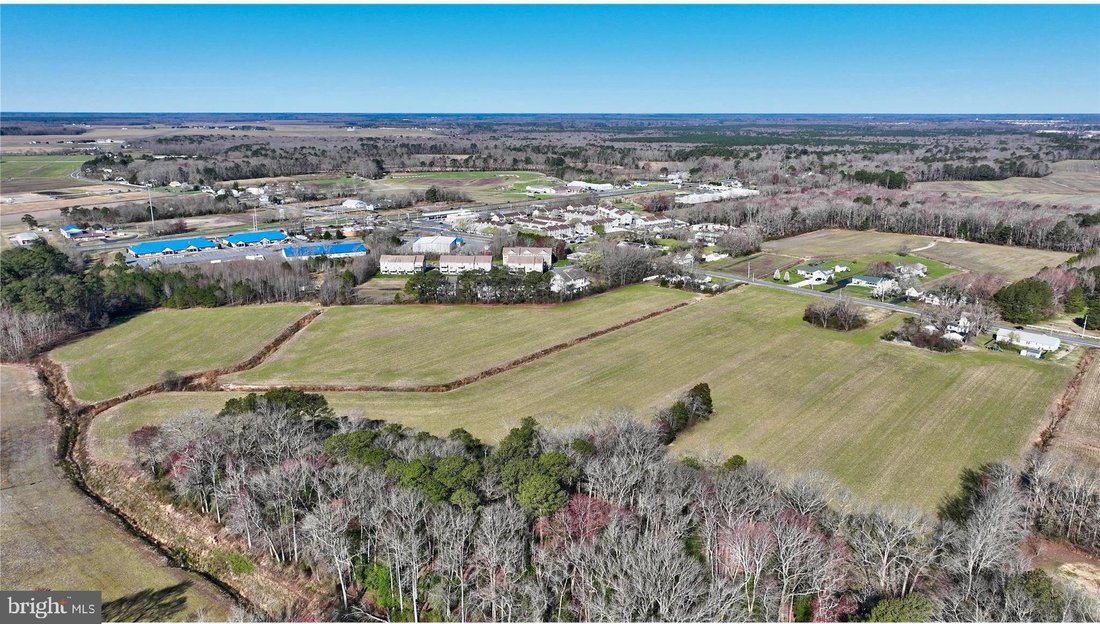 Terreno a Dagsboro, Delaware, Stati Uniti 5 - 14639232