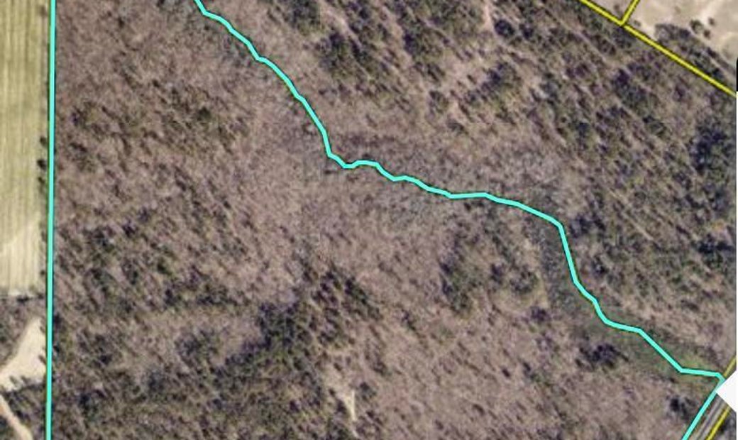 Lots And Land Pelion In Pelion, South Carolina, United States For Sale