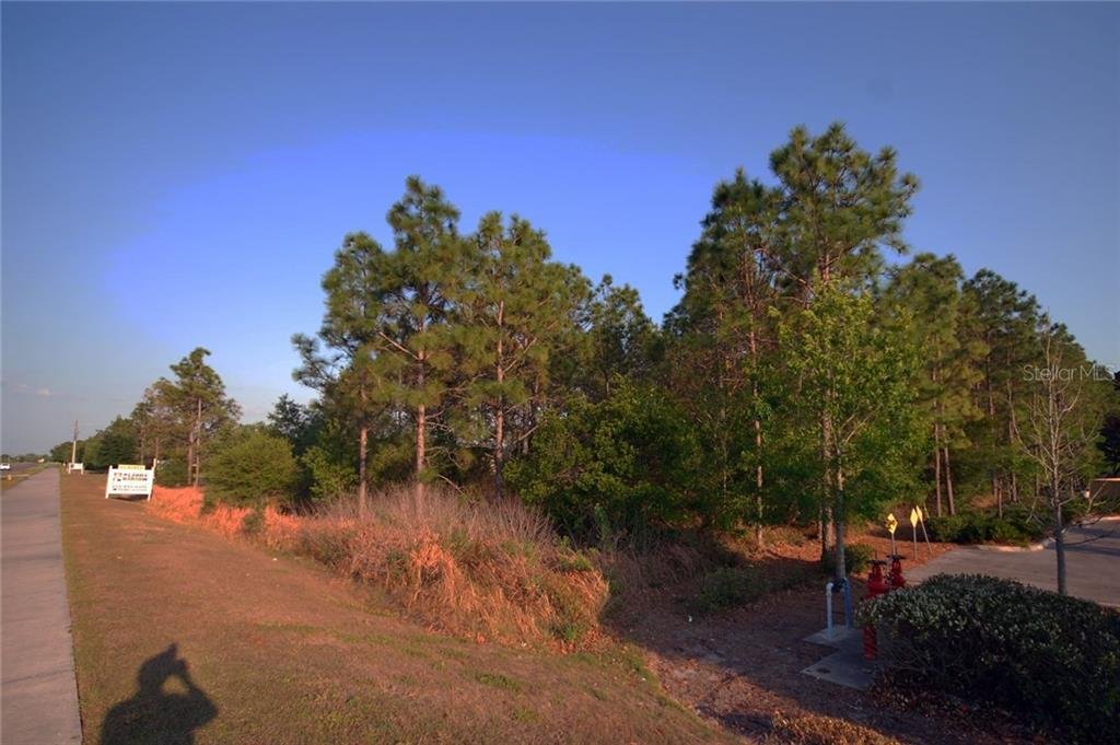 Lots And Land Wesley Chapel In Wesley Chapel, Fl, United States For