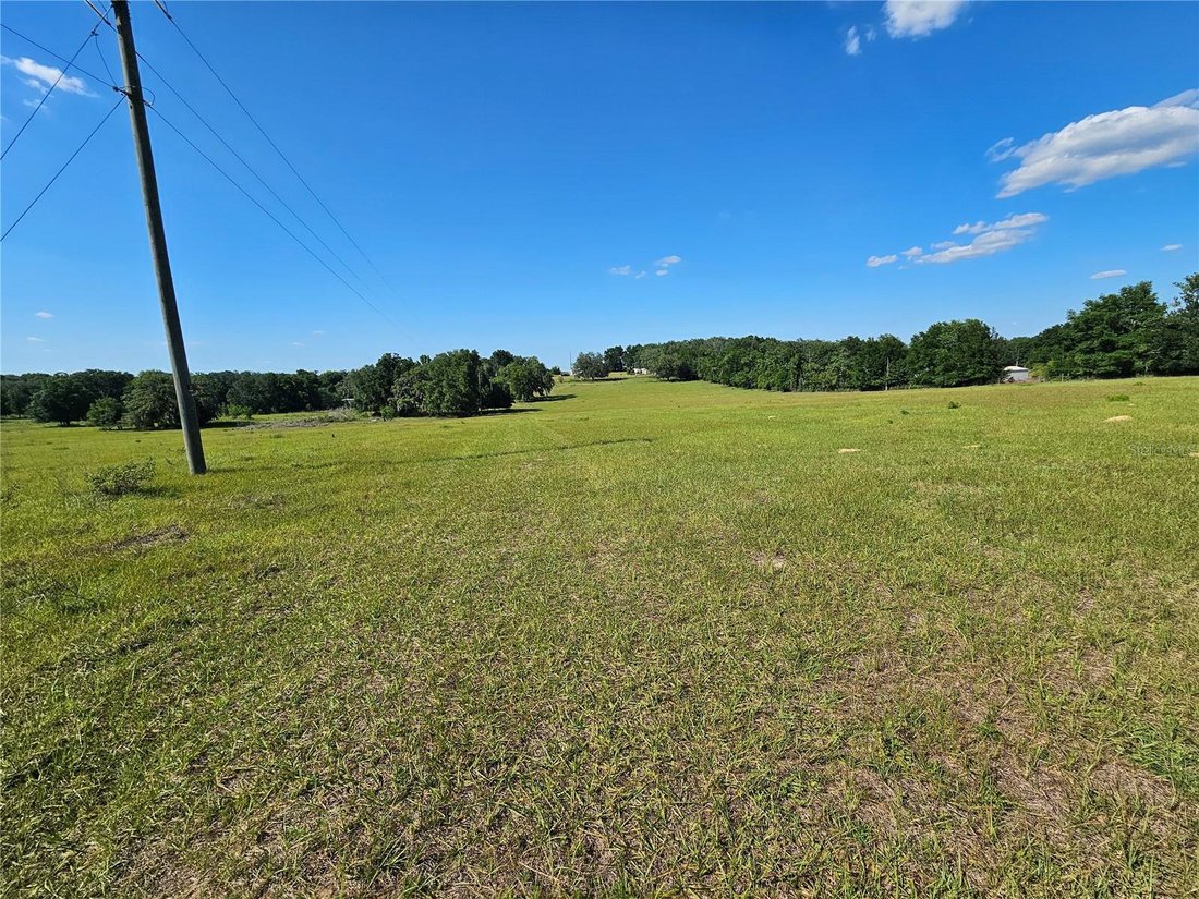 Land in Dade City, Florida, United States 5 - 14640808