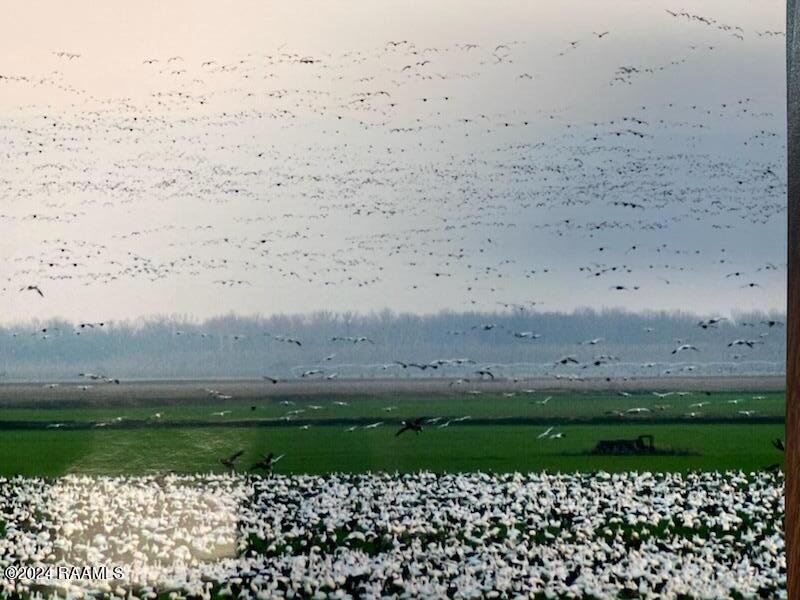 Lots And Land Effie In Effie, Louisiana, United States For Sale (14637805)