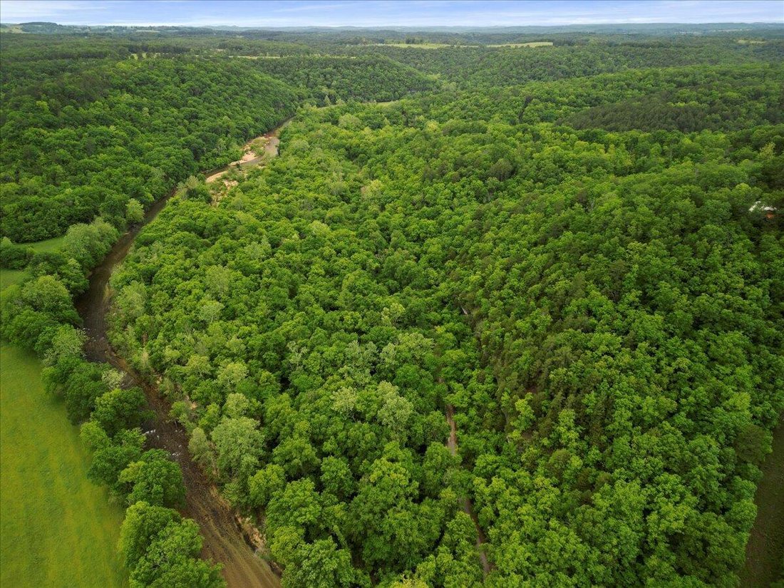 Land in Ava, Missouri, United States 5 - 14637647